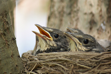 Similar image 161286