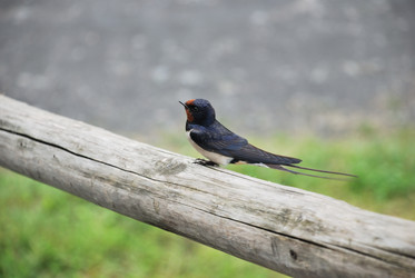 Similar image 161290