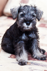 Similar image 161301