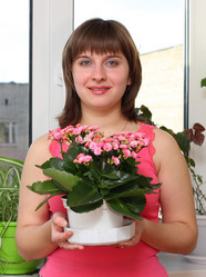 Similar image 161302