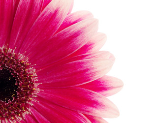 Similar image 161306