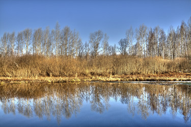 Similar image 161315