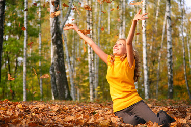 Similar image 161332