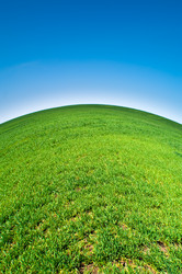 Similar image 161363