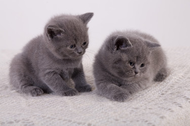 Similar image 161373