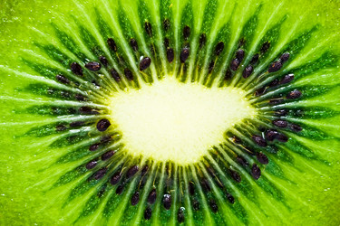 Similar image 161376