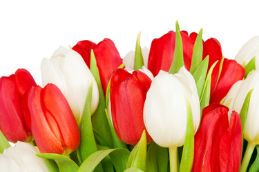 Similar image 161382