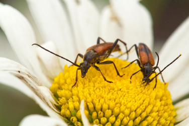 Similar image 161386