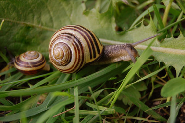 Similar image 161399