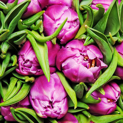 Similar image 161424