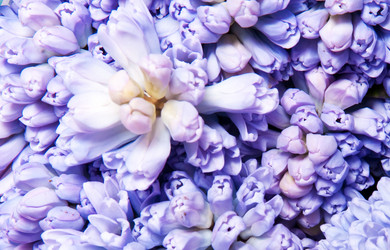 Similar image 161425