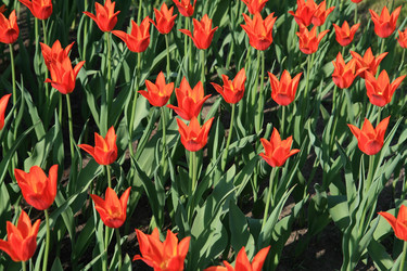 Similar image 161429