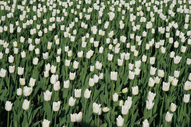 Similar image 161436