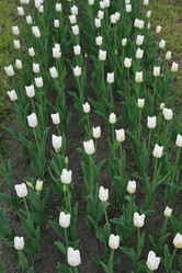 Similar image 161441