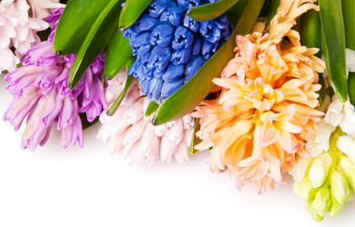 Similar image 161443