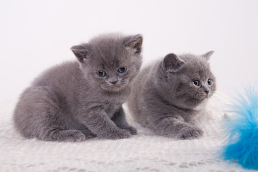 Similar image 161488