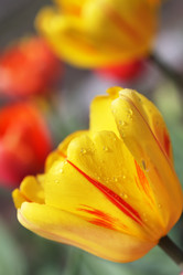 Similar image 161549