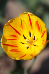 Similar image 161550