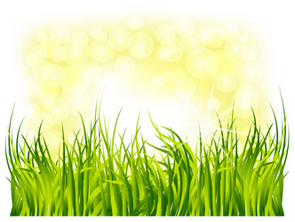 Similar image 161567