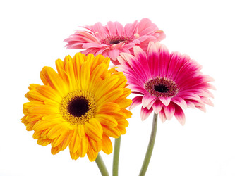 Similar image 161596