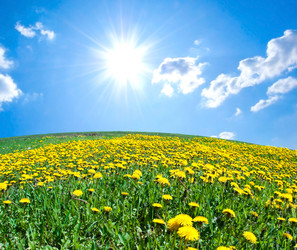 Similar image 161613