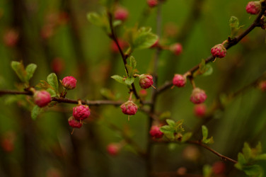 Similar image 161643