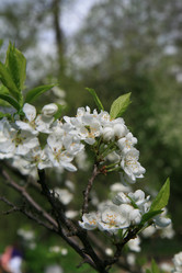 Similar image 161658