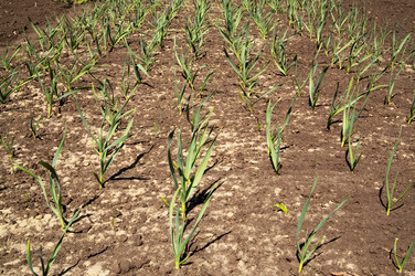 Similar image 161661