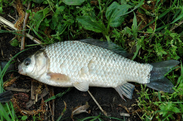 Similar image 161669