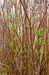 Similar image 161674