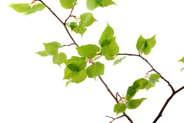 Similar image 161684