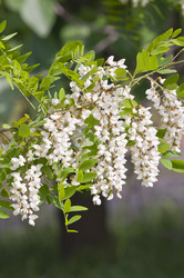 Similar image 161712