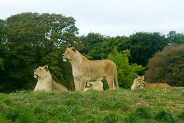 Similar image 161725