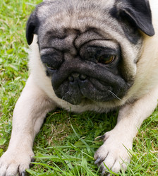 Similar image 161733