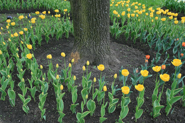 Similar image 161754