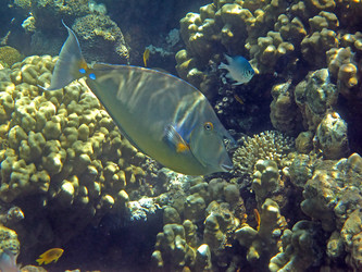 Similar image 161755