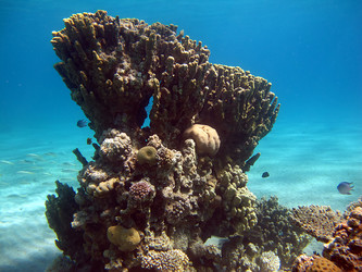 Similar image 161756