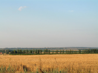 Similar image 161757