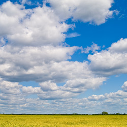 Similar image 161759