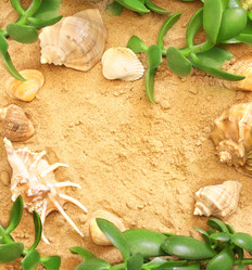 Similar image 161763