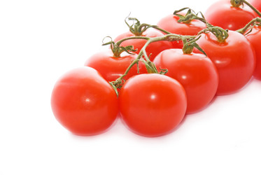 Similar image 161768