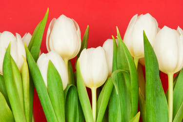 Similar image 161776