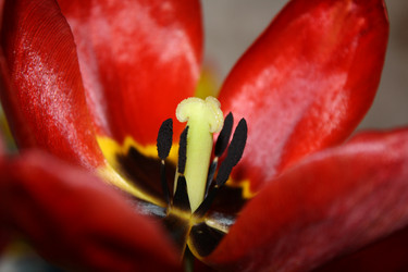 Similar image 161816