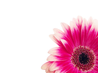 Similar image 161826