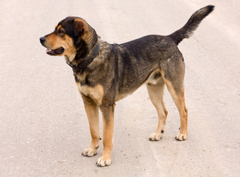 Similar image 161830