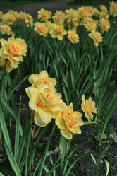 Similar image 161836