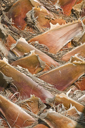 Similar image 161838