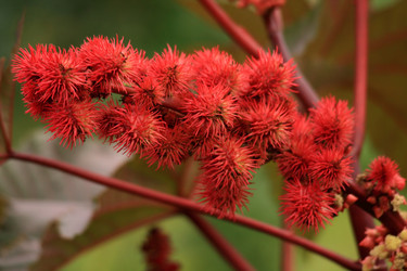 Similar image 161842