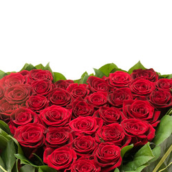 Similar image 161879