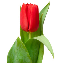 Similar image 161892